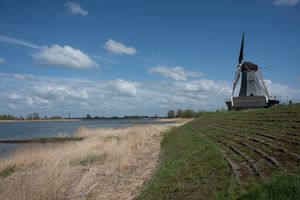 De Lek (2017)