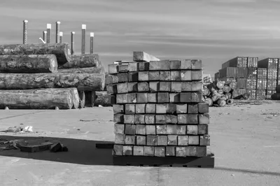 Antwerpen, havengebied